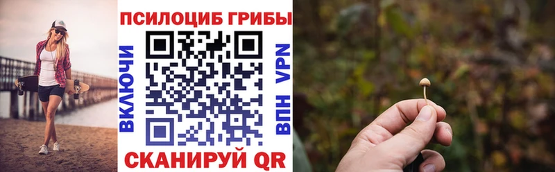 Купить  Железногорск  Галлюциногенные грибы Magic Shrooms 